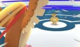口袋妖怪go怎么玩(pokemon攻略怎么玩)