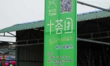 阴阳师泡沫公主电影(阴阳师泡沫公主)