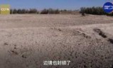 饥荒修改器_饥荒中文版无限物品破解版
