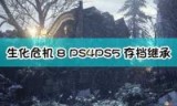 生化5存档的简单介绍