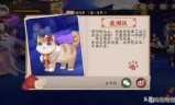 阴阳师开服时间表(阴阳师开服时间表2021)