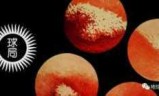 战争机器3中文版_机械战争3无限资源