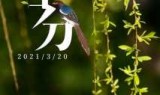 全国小游戏(联机小游戏)