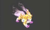 梦幻西游2新角色(梦幻西游2新奇经八脉)