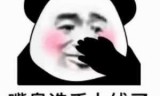 对打单机游戏_对打单机游戏电脑