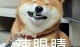 lol洲际赛规则(lol洲际赛停办)