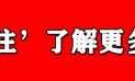 43994小游戏(43994个人玩的游戏)