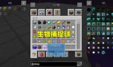 我的世界宠物小精灵(我的世界精灵宝贝下载)