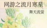 网游之师傅莫跑(网游之师傅别闹)