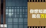 阴阳师电影(阴阳师电影陈坤)