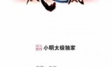 网游之冰雷传说(网游之冰法巅峰)