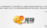 3366小游戏官网(4399小游戏官网)