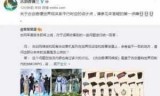 包含古剑奇谭单机版的词条