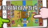 双人小游戏(双人对战游戏2一4人)