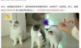 养宠物小游戏大全(养宠物赚钱的游戏大全)