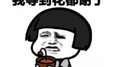 lol掌上英雄联盟(英雄联盟免费改名入口)