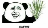 小一点的单机游戏_迷你世界单机版