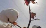 英雄无敌6破解补丁的简单介绍