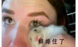 网游之游戏之王(网游之我是死神)