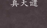 网游之天谴修罗txt下载(天辰txt全集下载)